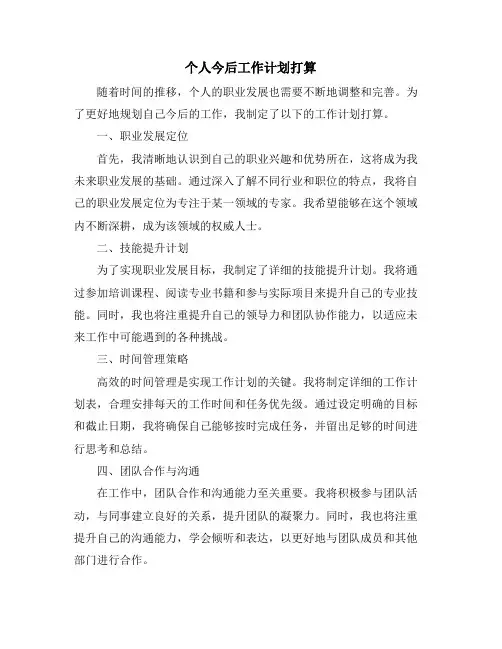 个人今后工作计划打算