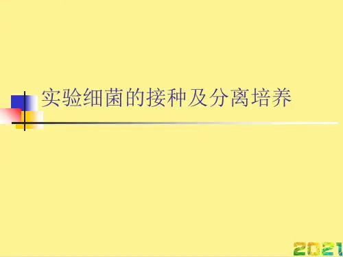实验细菌的接种及分离培养完整PPT