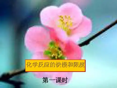 化学反应的快慢和限度PPT课件 鲁科版(1)