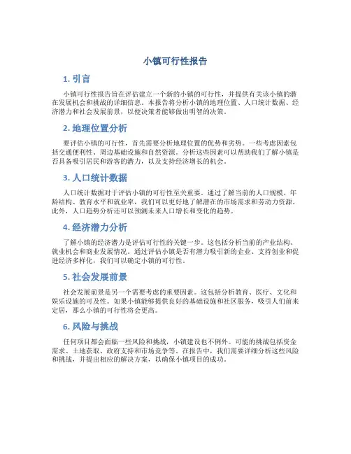 小镇可行性报告