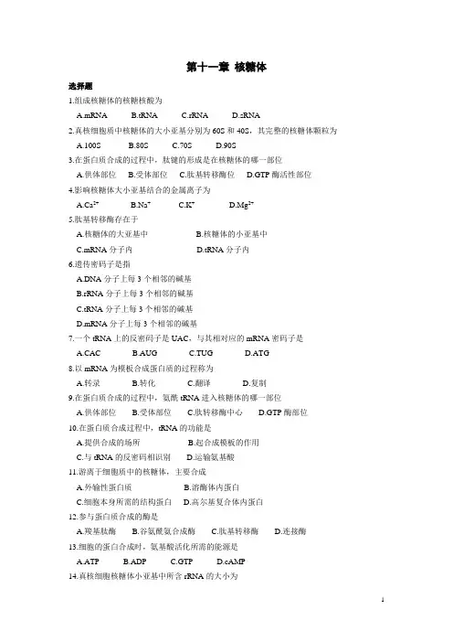 核糖体