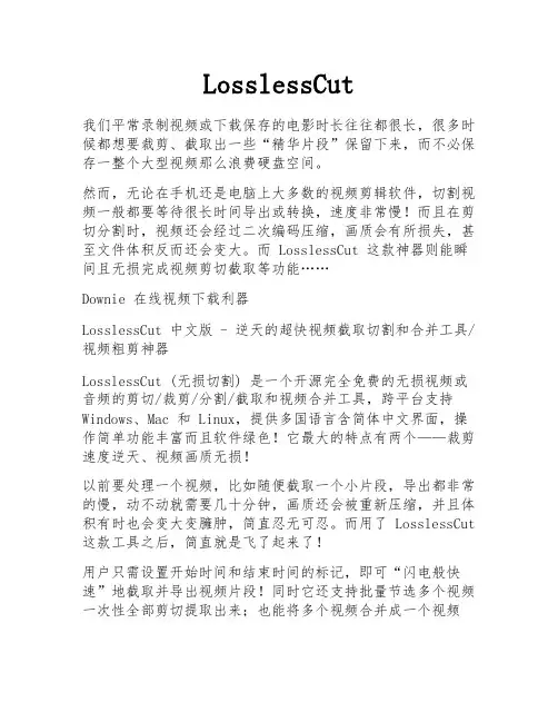 LosslessCut 