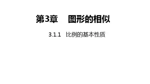 湘教版九年级上册3.1.1比例的基本性质(共21张PPT)