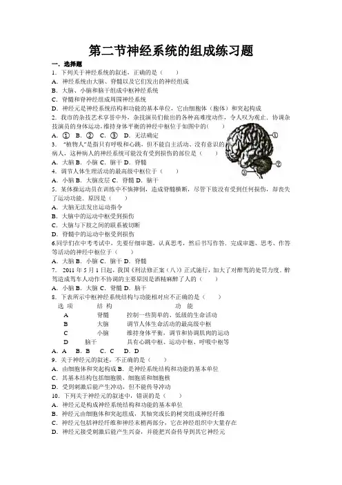 第二节神经系统的组成练习题