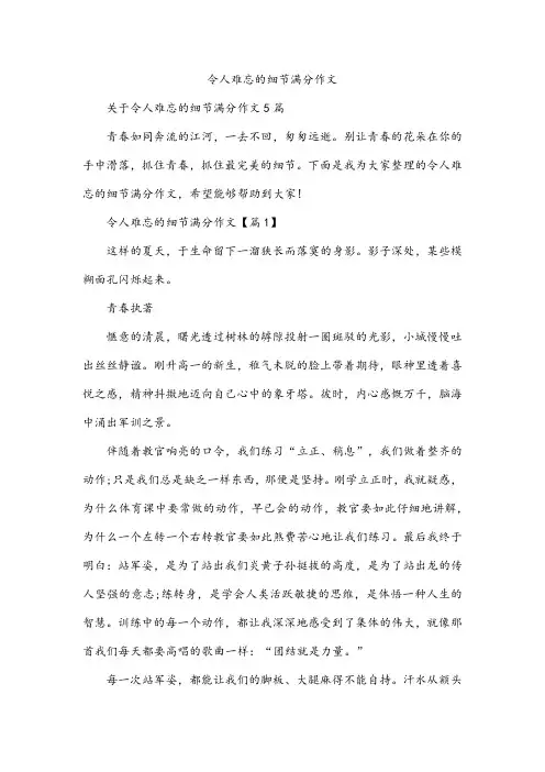令人难忘的细节满分作文