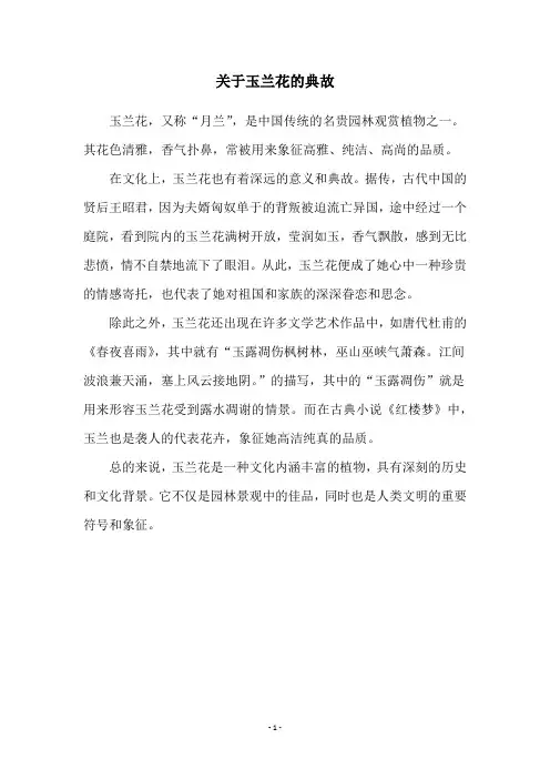 关于玉兰花的典故