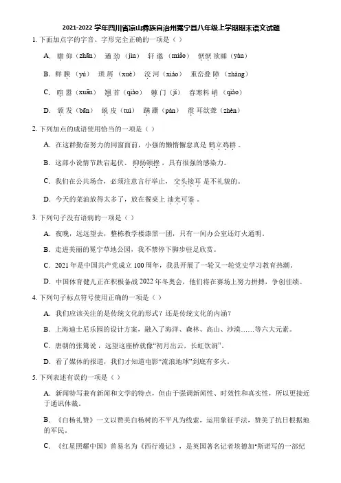 2021-2022学年四川省凉山彝族自治州冕宁县八年级上学期期末语文试题