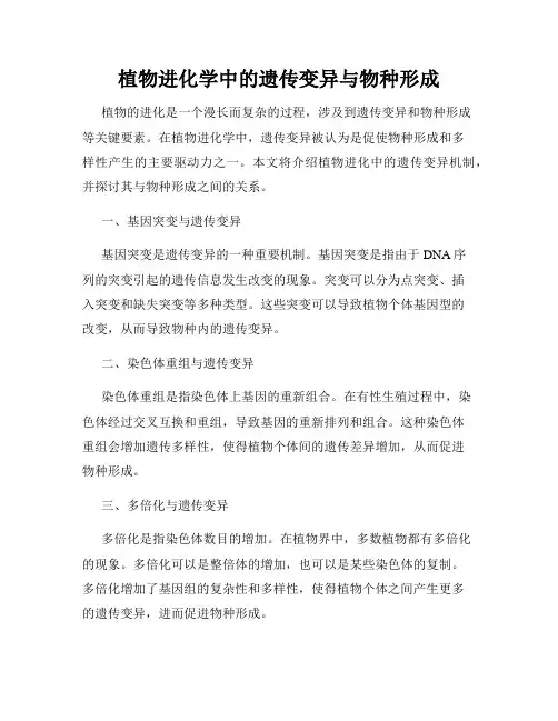 植物进化学中的遗传变异与物种形成
