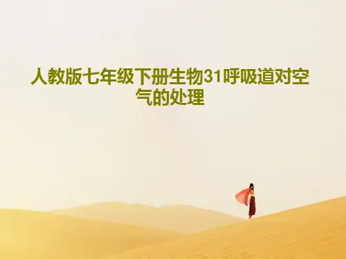 人教版七年级下册生物31呼吸道对空气的处理70页PPT