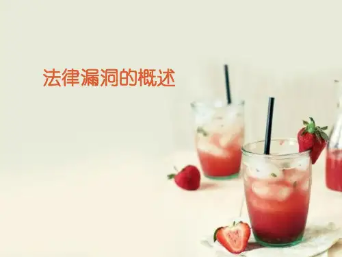 法律漏洞的概述