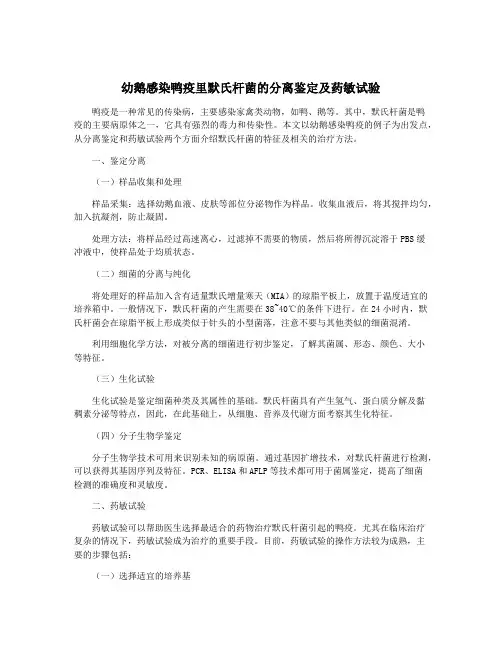 幼鹅感染鸭疫里默氏杆菌的分离鉴定及药敏试验