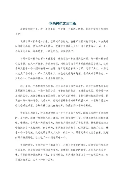 苹果树范文三年级