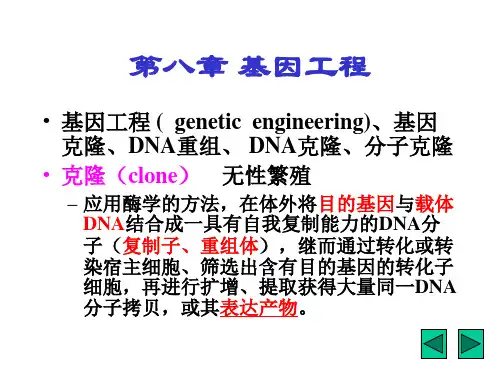 第八章基因工程电子教案