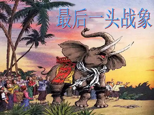 六年级上册语文课件-7.23 最后一头战象｜人教新课标 (共33张PPT)