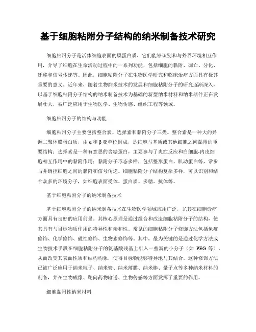 基于细胞粘附分子结构的纳米制备技术研究