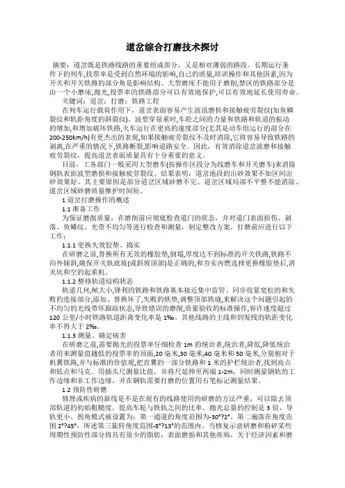 道岔综合打磨技术探讨