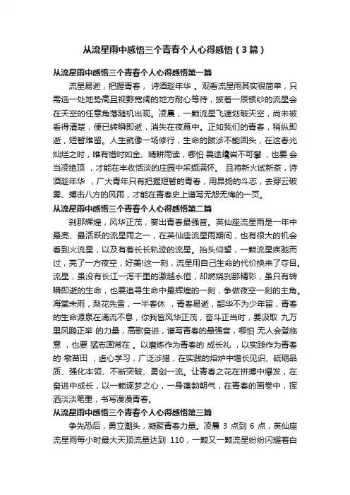 从流星雨中感悟三个青春个人心得感悟（3篇）