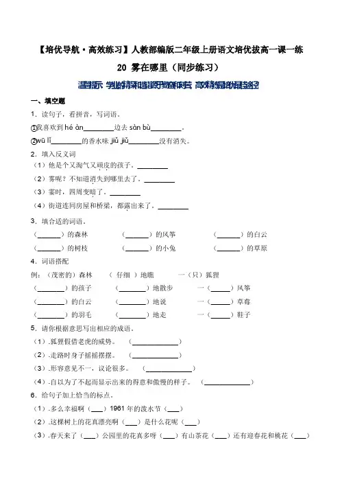 20 雾在哪里-人教部编版(含答案)