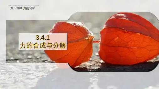 3.4.1力的合成与分解之力的合成+课件-2024-2025学年高一上学期物理人教版(2019)