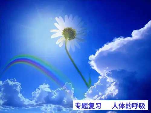 《人体的呼吸》ppt1 人教版