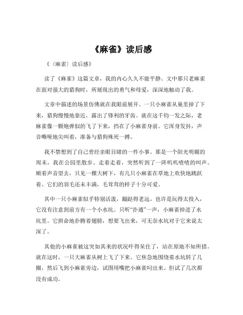 《麻雀》读后感