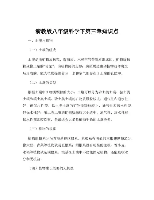 浙教版八年级科学下第三章知识点