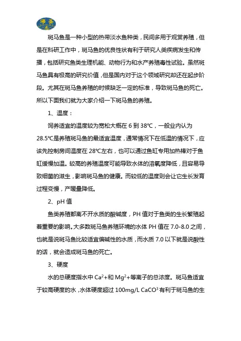 上海海圣生物-斑马鱼饲养