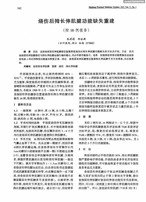 烧伤后拇长伸肌腱功能缺失重建(附16例报告)