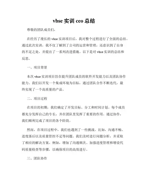 vbse实训ceo总结