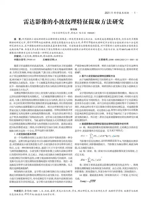 雷达影像的小波纹理特征提取方法研究