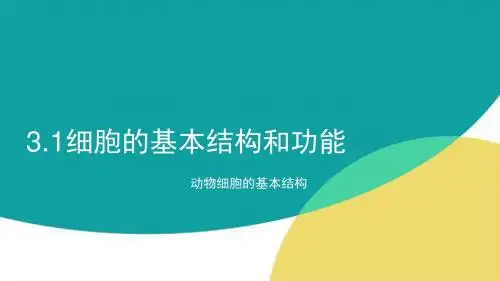 细胞的基本结构和功能(二)