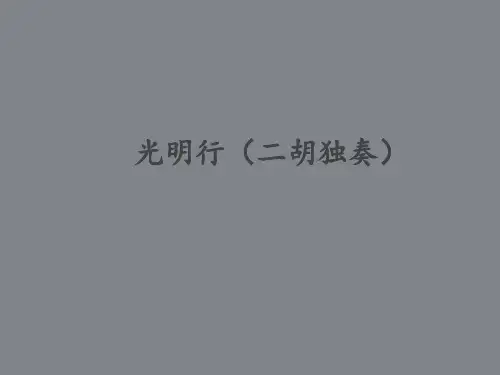 花城出版社高中音乐选修：音乐鉴赏光明行(二胡独奏)