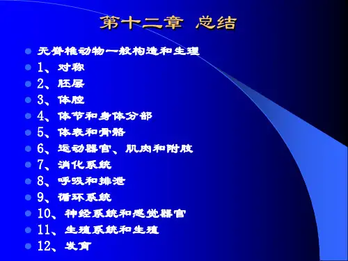 L第十二无脊椎动物总结