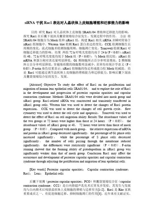 siRNA干扰Rac1表达对人晶状体上皮细胞增殖和迁移能力的影响