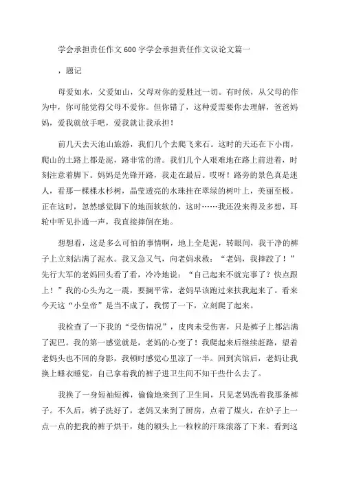 2023年学会承担责任作文600字学会承担责任作文议论文(5篇)
