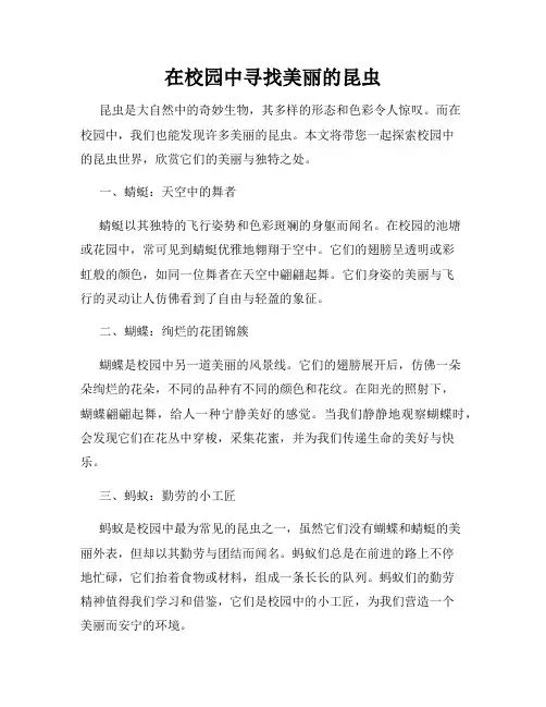 在校园中寻找美丽的昆虫
