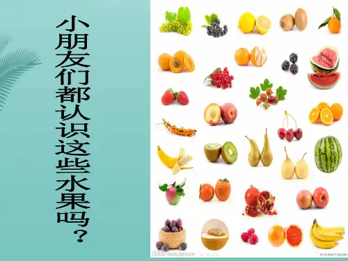 幼儿园小班认识水果精选推荐PPT