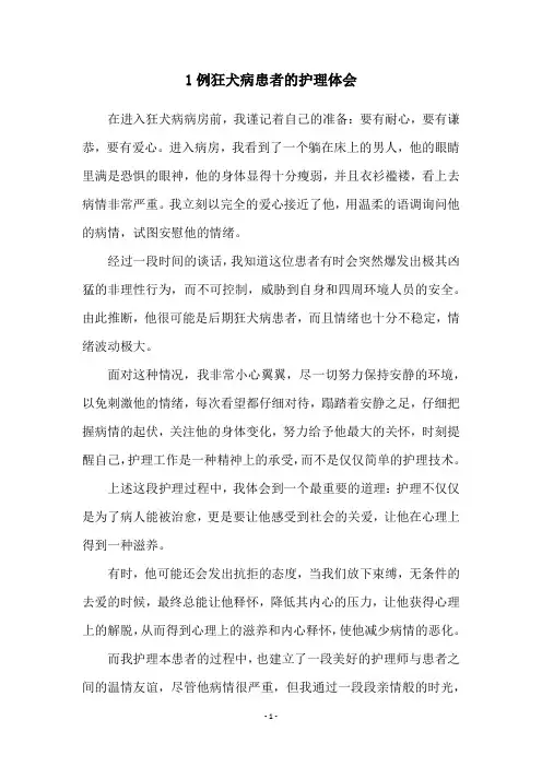1例狂犬病患者的护理体会