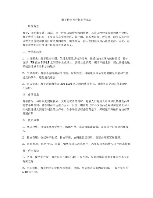 魔芋种植可行性研究报告