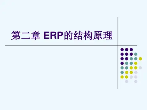 ERP的结构原理.ppt