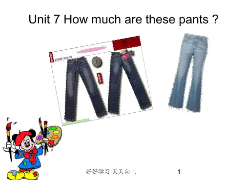 人教版(PEP义务教育版)初一英语七年级上册人教版  how much are the pants 
