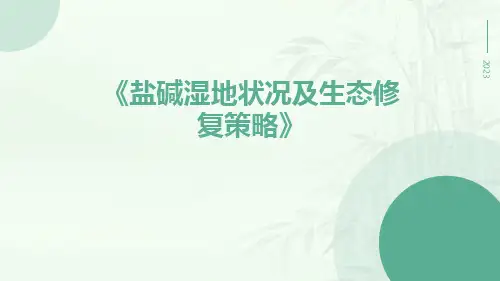 盐碱湿地状况及生态修复策略