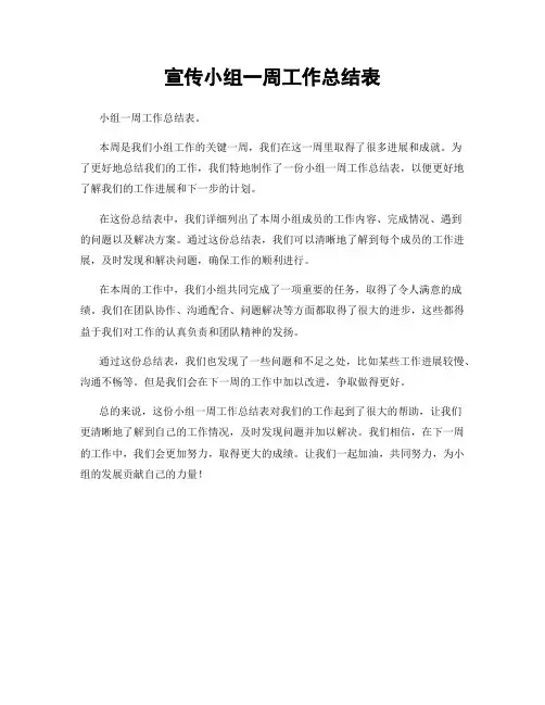 宣传小组一周工作总结表