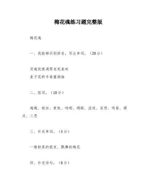 梅花魂练习题完整版