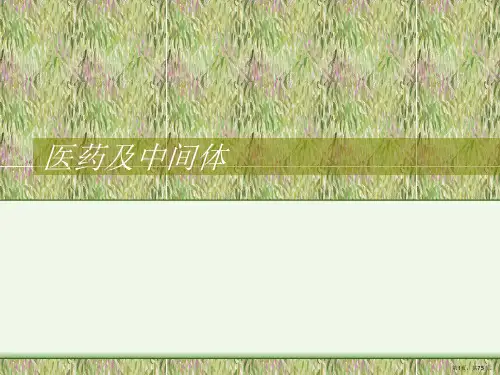 医药及中间体PPT课件