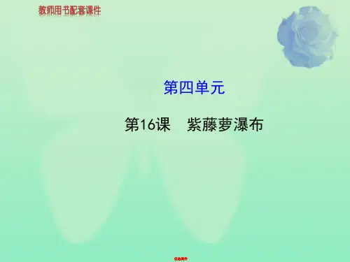 新人教版七年级语文上册第四单元 第16课 紫藤萝瀑布