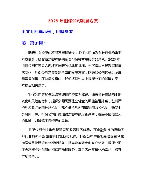 2023年担保公司发展方案