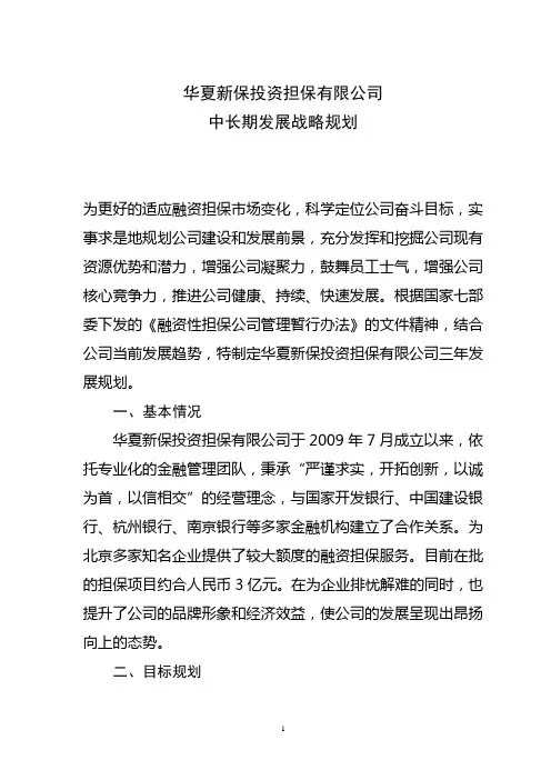 担保公司三年发展规划(李卓)