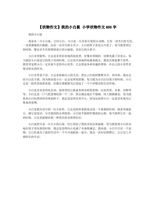 【状物作文】我的小白鼠 小学状物作文600字