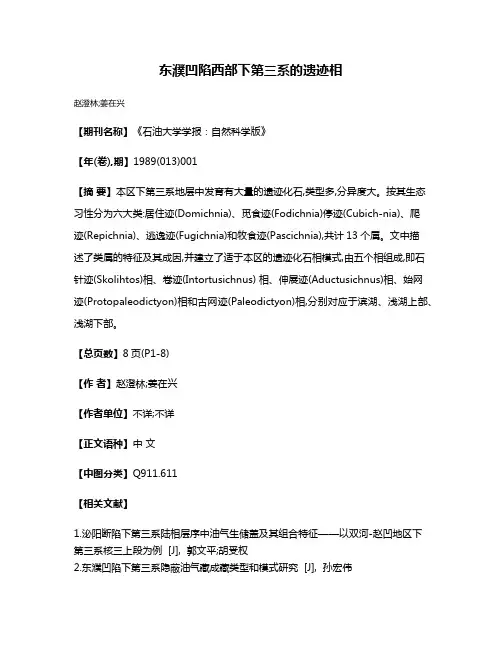 东濮凹陷西部下第三系的遗迹相